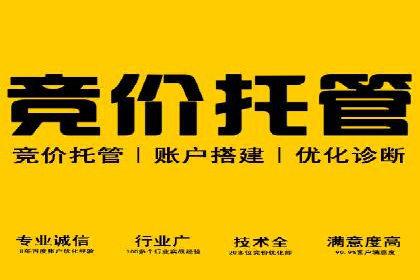 竞价SEM托管服务如何助力企业提升ROI